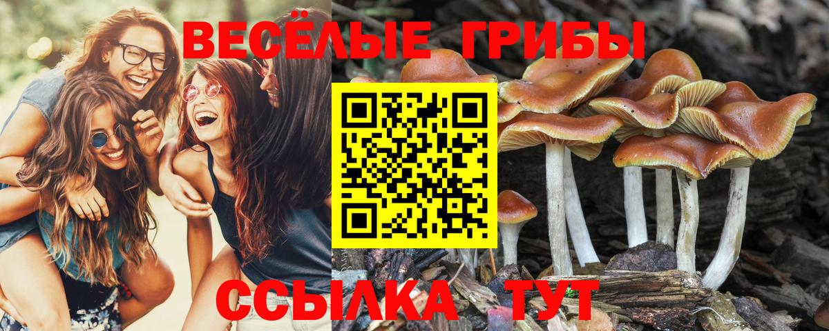 цена наркотик  Вход с VPN  Дзержинский  Галлюциногенные грибы ЛСД 